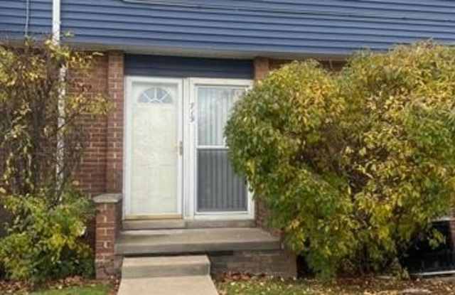719 MCDOUGALL Street - 719 McDougall, Detroit, MI 48207