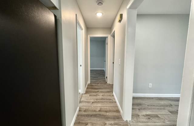 18 Carleton Street - 1L Gallery 3