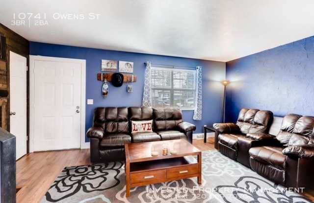 10741 Owens St Gallery 3