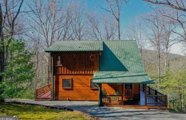 348 The Forest Has Eyes - 348 The Forest Has Eyes, Fannin County, GA 30513 348 The Forest Has Eyes - 348 The Forest Has Eyes, Fannin County, GA 30513