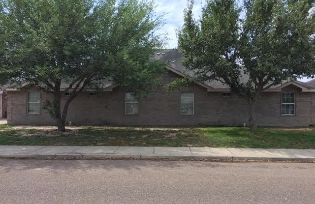 1314 Prosperity Drive - 1314 Prosperity Drive, Edinburg, TX 78541