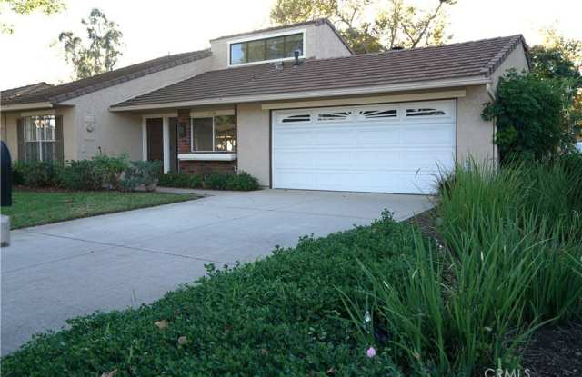 17301 Peach photos photos