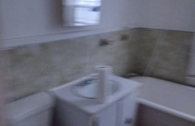 317 10th St - 317 10th Street, Troy, NY 12180