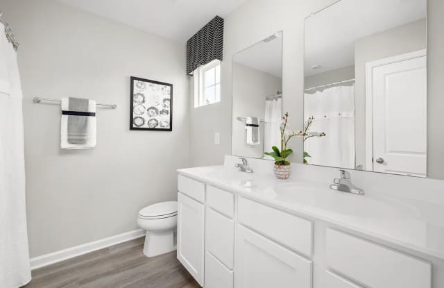Room in 3 Bedroom Home in Raleigh Gallery 4