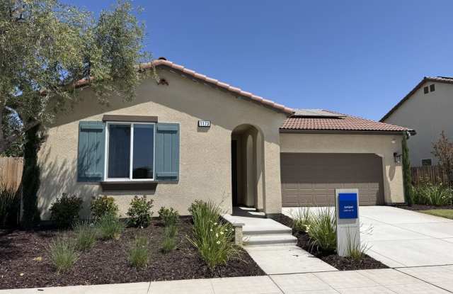 Brand new Former Model Home in Riverstone photos photos