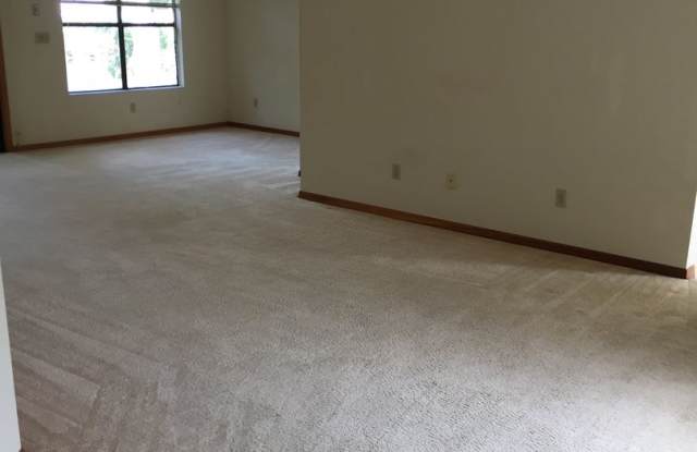 726 Pine Shores Circle Gallery 4