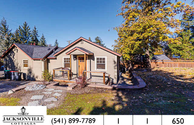 Fully Furnished Craftsman Cottage in Jacksonville! W/D,  Pets OK $300 Utility Fee photos photos