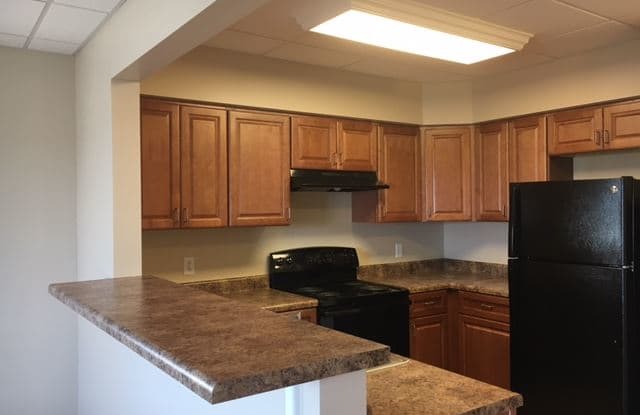Ashfield Senior (55+) Apartments Gallery 2