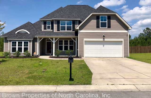 413 Cyrus Thompson Drive - 413 Cyrus Thompson Drive, Piney Green, NC 28546