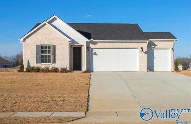 157 Jude Lane - 157 Jude Lane, Madison County, AL 35750