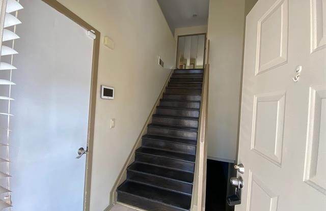 6677 CHIMNEY SWEEP Gallery 2