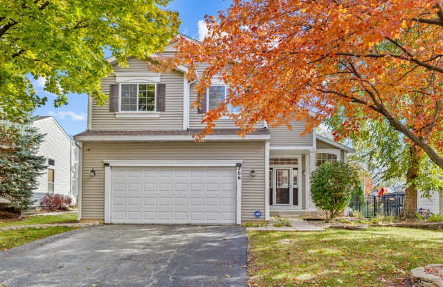 206 Sparrow Lane - 206 Sparrow Lane, Bolingbrook, IL 60490