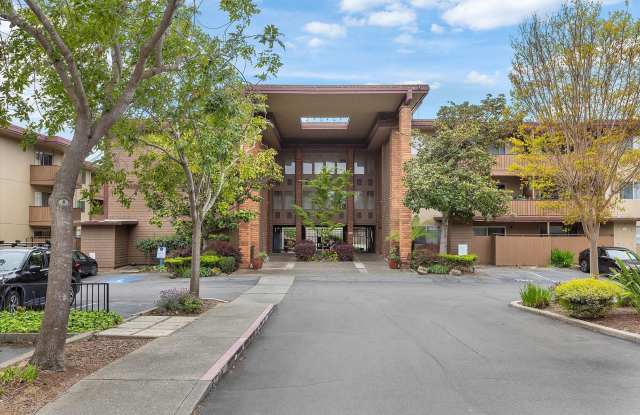 1327 Webster St #B305 - Studio | 1 bath | Condo photos photos