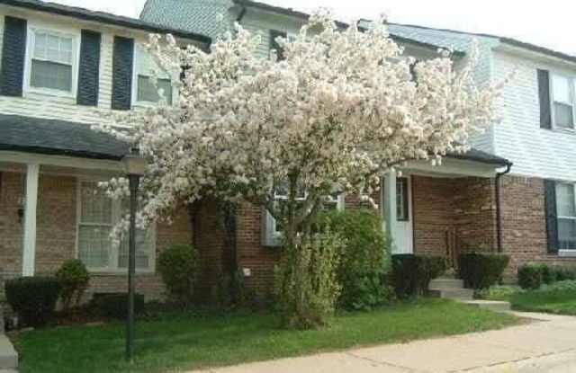 3112 Bolgos Circle photos photos