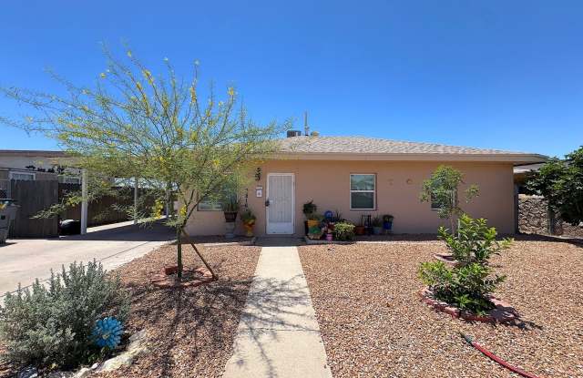 East/Central El Paso 3bed/1bath Refrig A/C with Outdoor Kitchen Oasis! photos photos East/Central El Paso 3bed/1bath Refrig A/C with Outdoor Kitchen Oasis! photos photos