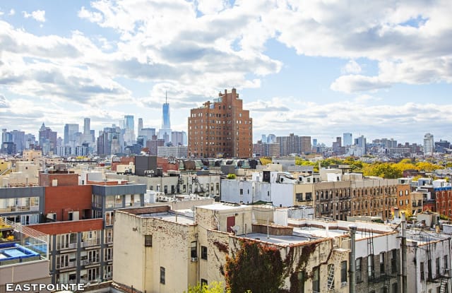189 Avenue C 10D - 189 Avenue C, New York City, NY 10009