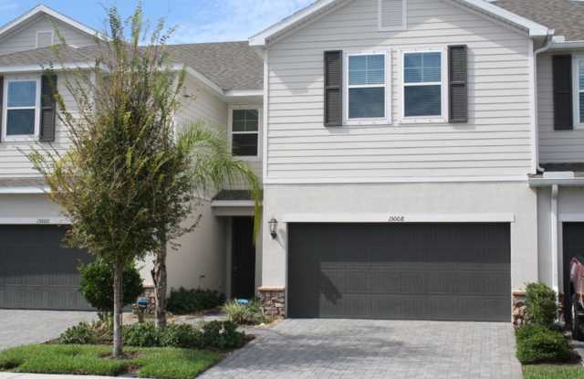 Large 3/3/2 Townhome Carrollwood photos photos