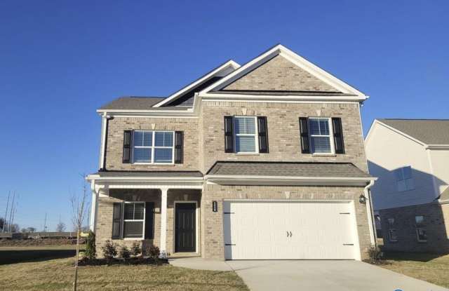 114 Mill View Drive - 114 Mill View Drive, Madison County, AL 35761