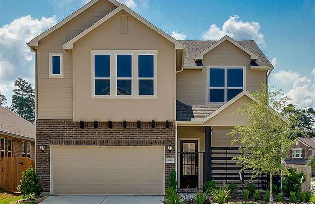 8119 Braddock Hills Lane - 8119 Braddock Hills Ln, Harris County, TX 77375