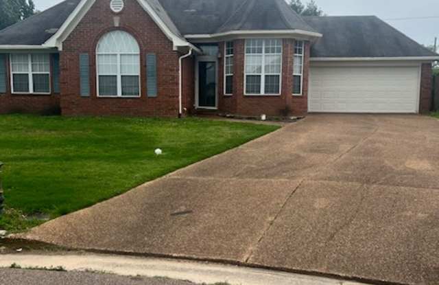 Charming 3-Bedroom Home in Cordova – Stylish, Spacious  Move-In Ready! photos photos