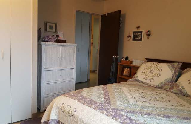 Pine Towers Gallery 2