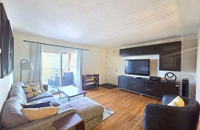 $1,950 - 2 Bed / 1 Bath Fully Furnished Condo in Secure Building in Rockwood/Manito Neighborhood Gallery 3