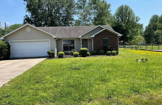 295 Pintar - 295 Pintar Lane, Ward, AR 72176