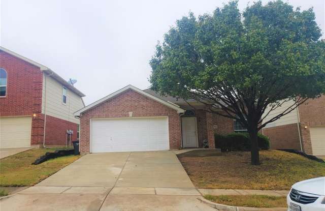 4917 Spur Ridge Court - 4917 Spur Ridge Court, Fort Worth, TX 76244