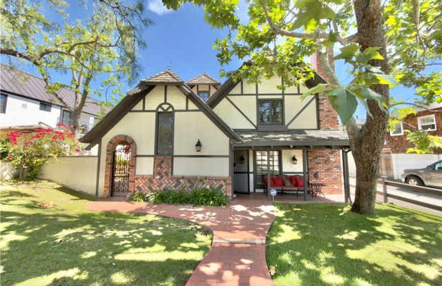 327 Aster photos photos