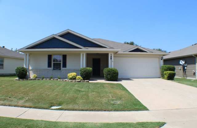 9716 George Bush Dr - 9716 George Bush Drive, McKinney, TX 75072