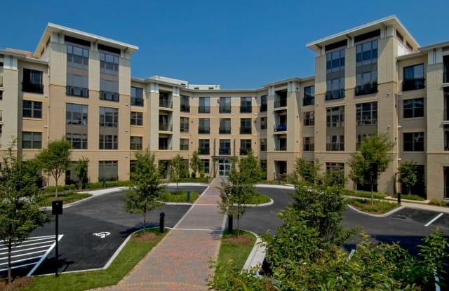 Lofts 590 Gallery 3