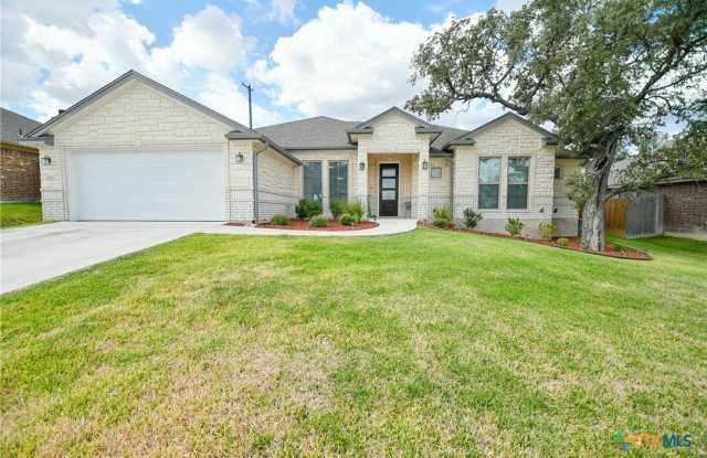 3029 Mystic Mountain Lane - 3029 Mystic Mountain Lane, Belton, TX 76513