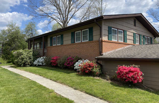 111 Clement Dr photos photos