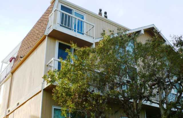 6511 Pacific Ave. photos photos