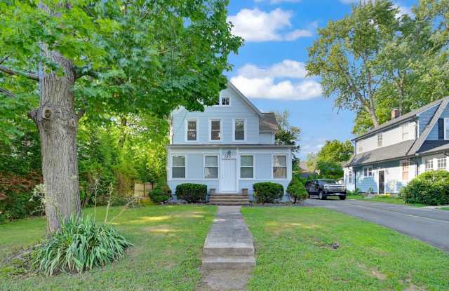 153 Franklin Avenue - 153 Franklin Avenue, Pearl River, NY 10965