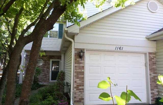 1161 Regency Drive - 1161 Regency Drive, Schaumburg, IL 60193