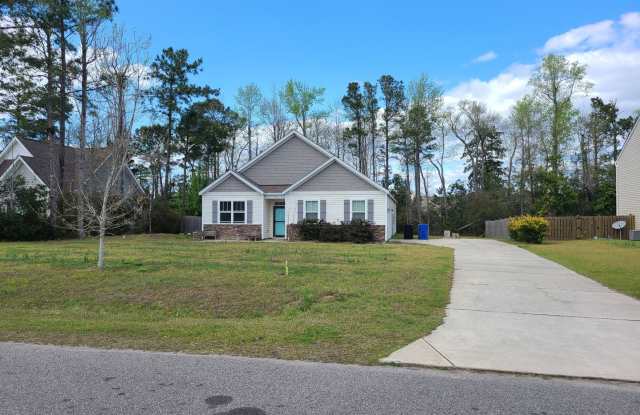 4 Bedroom 2 bath home - The Preserve at Morris Landing Holly Ridge - 150 Mardella Way, Holly Ridge, NC 28445