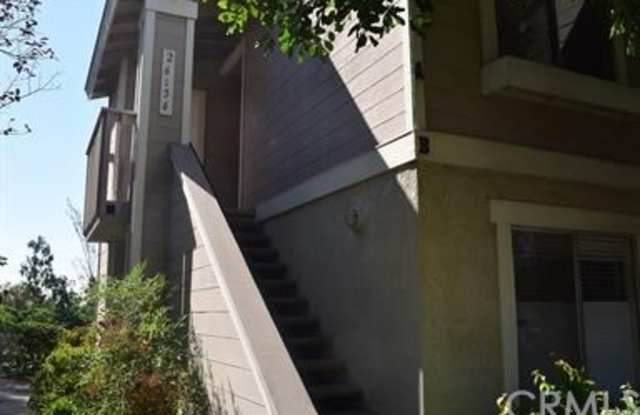 26156 Los Viveros Gallery 3