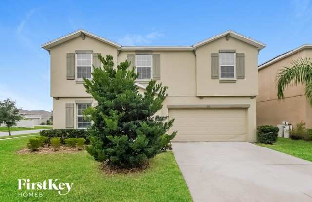 10111 Crested Fringe Drive - 10111 Crested Fringe Drive, Riverview, FL 33578