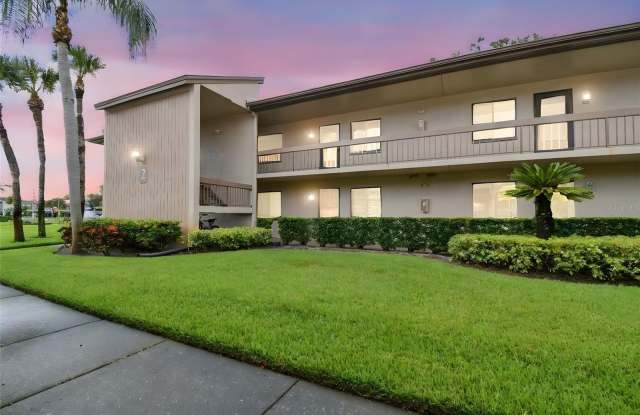 204 MARY DRIVE - 204 Mary Drive, East Lake, FL 34677