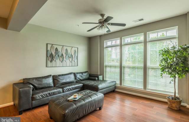 7410 BRUNSON CIRCLE Gallery 4