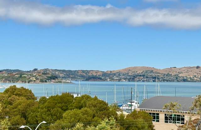 New 2bed/1bath View Flat in Sausalito photos photos