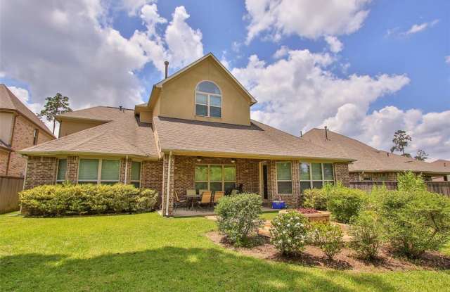 6 Caprice Bend Place - 6 Caprice Bend Place, The Woodlands, TX 77375