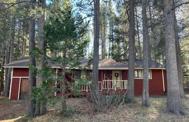 Hidden Gem in Peaceful Forest Setting- Pet Friendly! photos photos Hidden Gem in Peaceful Forest Setting- Pet Friendly! photos photos