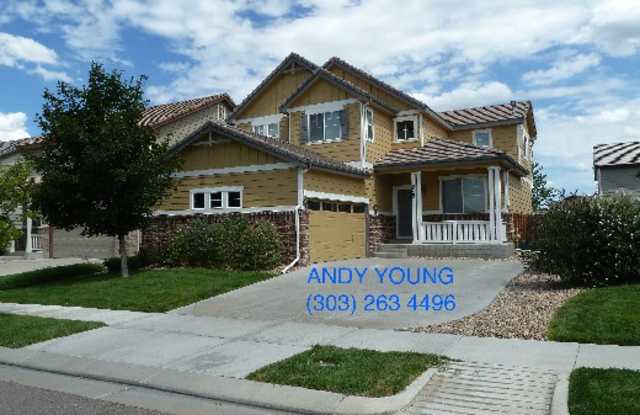 9764 Norfolk St - 9764 Norfolk Street, Commerce City, CO 80022