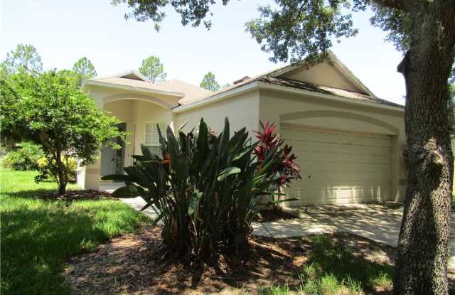 6140 KITERIDGE DRIVE - 6140 Kiteridge Drive, Fish Hawk, FL 33547