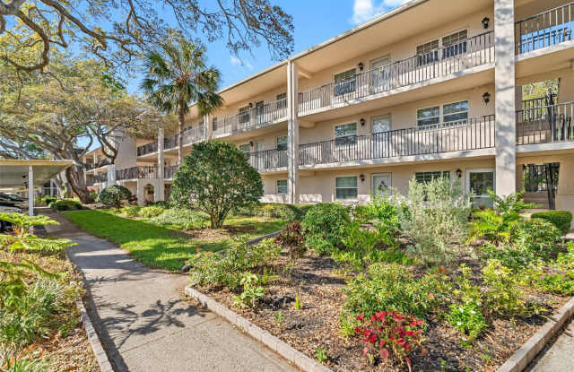 870 Virginia Street - 870 Virginia Street, Dunedin, FL 34698
