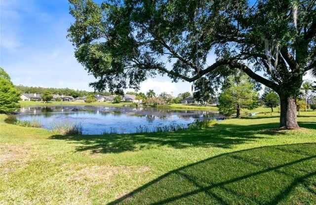 3206 TIMUCUA CIRCLE photos photos