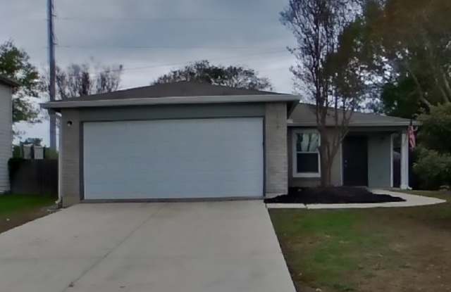 160 Hanging Moss photos photos 160 Hanging Moss photos photos