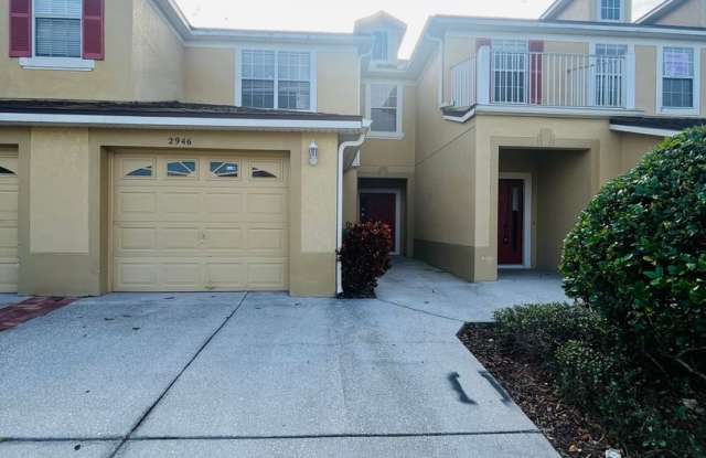 2-Story Townhouse photos photos